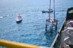 هيئة الشارقة للثروة السمكية تطلق مشروع مشد خورفكان بمرحلته الـ 2