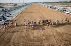 انطلاق السباقات التمهيدية لماراثون اليوم الوطني للهجن في المرموم