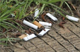 طريقة مبتكرة للتخلص من نفايات السجائر
