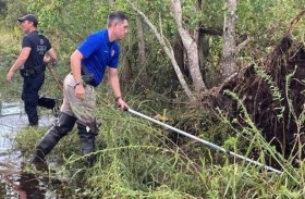 مفاجأة مرعبة في أحشاء تمساح عملاق