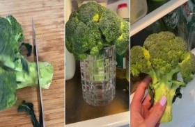 حيلة مدهشة لإعادة الحياة للخضراوات