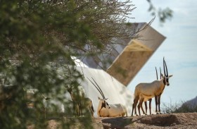 حديقة الحيوانات بالعين تستعرض إنجازاتها في يوم البيئة العالمي