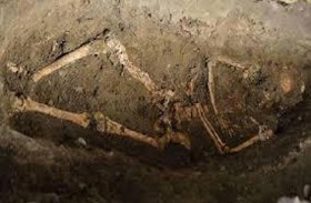 الشرطة تطلب المساعدة بعد عثورها على رفات 