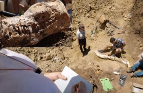 عمره 100 مليون عام.. اكتشاف كائن بحري عملاق