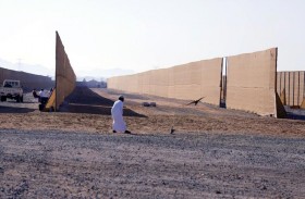 نادي الشارقة للصقارين يتوج الفائزين ببطولة «التلواح» 2020