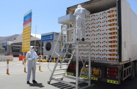 مفتشو جمارك دبي يعملون على مدار الساعة لتسهيل مرور البضائع