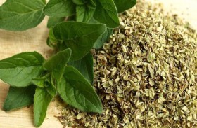 علماء النبات يكتشفون مواد مضادة للسرطان 