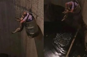 يجازف بحياته لإنقاذ كلب