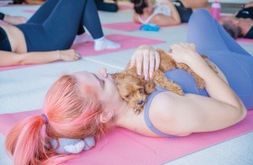 جزيرة السعديات بأبوظبي تحتفي باليوم العالمي لليوغا بصحبة الجراء المرحة