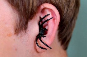 عنكبوت حيّ يقفز من أذن طفل ويرعب الأطباء