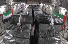 الإمارات ومصر تنفذان الإسقاط الجوي الثامن للمساعدات الإنسانية شمال قطاع غزة