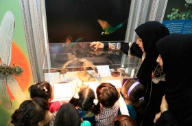 الشارقة للمتاحف تفتح باب التسجيل لمخيم إجازة سعيدة بسلسلة من الأنشطة الترفيهية