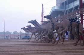 هجن العاصفة تتربع على عرش الكبار بالمرموم