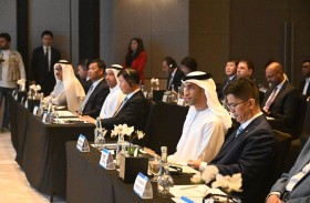  مقاطعة هاينان الصينية تسعى لاستقطاب المستثمرين والشركات الإماراتية