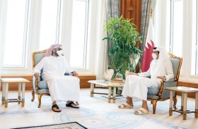 أمير قطر يستقبل وفدا برئاسة طحنون بن زايد