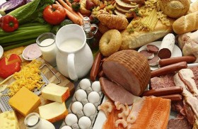 غني بالدهون.. نظام غذائي سيغير وجهة نظرك