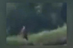 مخلوق غريب..نصف إنسان ونصف كلب 