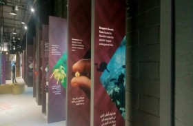 جناح الاتحاد الإفريقي يعلن عن دعم وتنفيذ أجندة البرامج الرئيسية 2063 في أكسبو 2020 