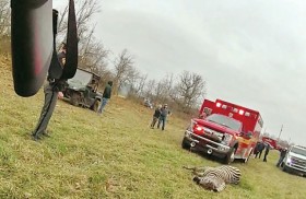 الشرطة تقتل حماراً وحشياً هاجم رجلاً