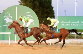 «العين للفروسية» يستضيف اليوم السباق الرابع بمشاركة 102 خيلا