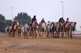 «شرف» الكتبي تتقدم الثنايا البكار و «مياس» المزروعي على قمة الجعدان بالمرموم