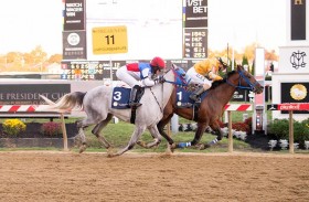  انطلاق المحطة الثانية لكأس رئيس الدولة للخيول العربية الأصيلة في أمريكا
