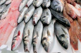 بنتيجة مفاجئة: الأسماك مرتبطة بهذا النوع من السرطان