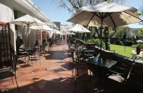 زائر غير متوقع يثير الرعب في مطعم