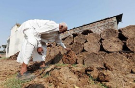 الهند تستخدم روث الأبقار لتوليد الطاقة 