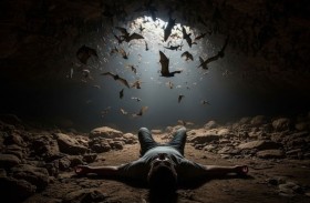 جثة رجل بين الخفافيش