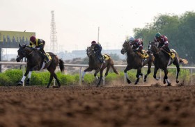 91 خيلا تشارك في «السباق التجريبي» الـ2 بمضمار جبل علي