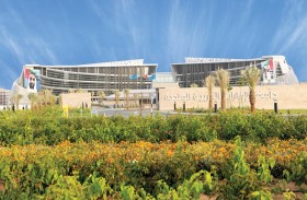 تعاون بحثي بين جامعة الإمارات وجامعة أندونيسيا