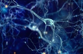 تصنيع خلايا عصبية في المعمل