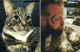 بفضل قط... فقير يحصل على تعويض بمليون دولار