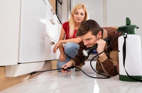 طرق التخلص من حشرات فصل الربيع