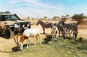 حديقة الحيوانات بالعين تعلن عن مواعيدها في رمضان بجولات مسائية ممتعة