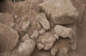 العثور على ملاكمَين من العصر الحديدي  