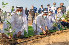 واحة دبي للسيليكون تغرس 1000 شجرة خيزران بالتعاون مع شركة أكاش جرين