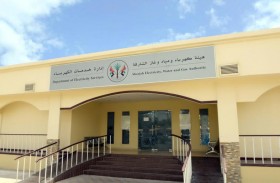 توصيل الكهرباء لـ 4089 موقعا وتركيب 18516 عدادا ذكيا بمدينة الشارقة في 2021