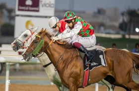 انطلاق كأس رئيس الدولة للخيول العربية والمهجنة على مضمار أبو ظبي 