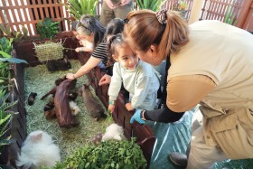 حديقة الحيوانات بالعين تشارك في مهرجان الحصن بأنشطة متنوعة