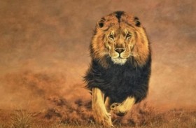 ابنة التاسعة تنجو من هجوم أسد