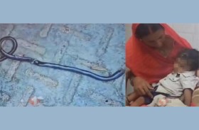 رضيع يعض ثعبانا حتى الموت 