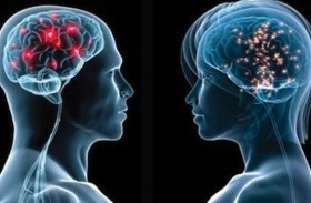 دراسة: أدمغة النساء أكثر مقاومة للشيخوخة من الرجال