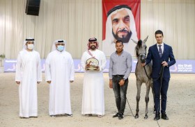 المهرة «آي دي بدور» تحقق أعلى معدل في افتتاح بطولة الإمارات لمربي الخيل العربية