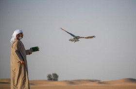 نادي تراث الإمارات يختتم بطولة «تحديات الزاجل» للصقارة