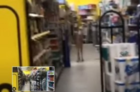 غزال يقتحم متجرا  