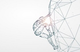 بلدية مدينة أبوظبي تنظم ورشة افتراضية بعنوان معاً لمجتمع رياضي لتوعية أفراد المجتمع بالوثبة