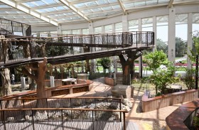 5 ملايين زائر للحديقة القرآنية في دبي منذ افتتاحها