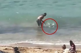 يضرب كلباً ويحاول إغراقه في البحر